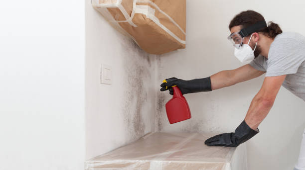 Professional Attic Mold Removal technician working in Leonardo, NJ