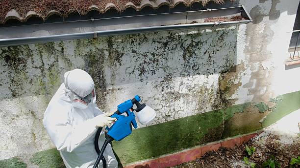 Trusted Commercial Mold Remediation service in Leonardo, NJ - Cheap Mold Removal
